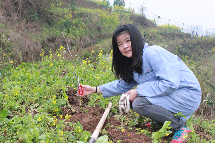 微特電子組織員工及家屬參加植樹節(jié)義務植樹活動